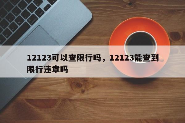 12123可以查限行吗，12123能查到限行违章吗-第1张图片-51cml百科资讯